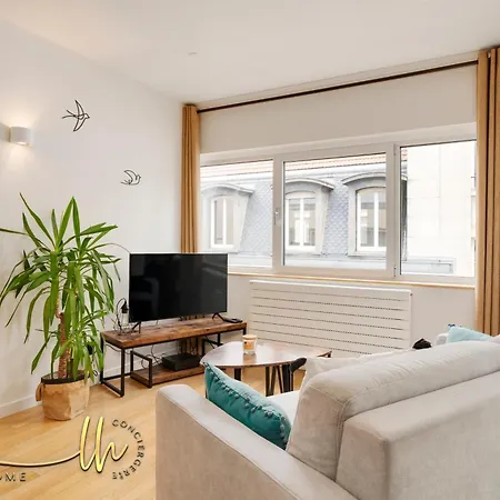 Chaleureux, Lumineux Et Confortable F2 Renove En Plein Coeur De * 南锡