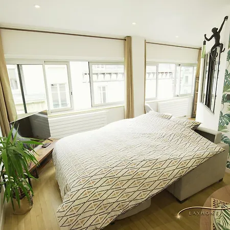 Apartment Chaleureux, Lumineux Et Confortable F2 Renove En Plein Coeur De