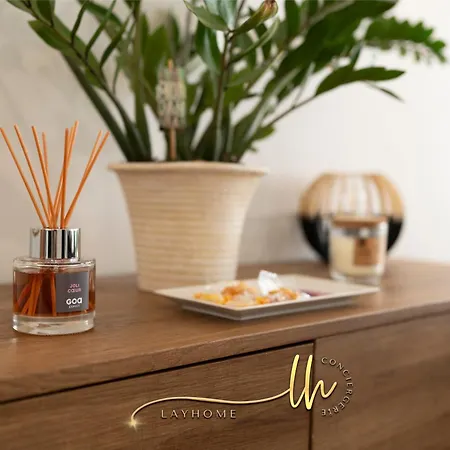 Apartment Chaleureux, Lumineux Et Confortable F2 Renove En Plein Coeur De *