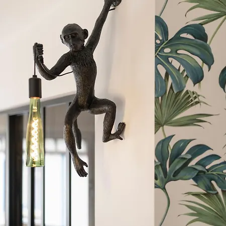 Chaleureux, Lumineux Et Confortable F2 Renove En Plein Coeur De * 南锡