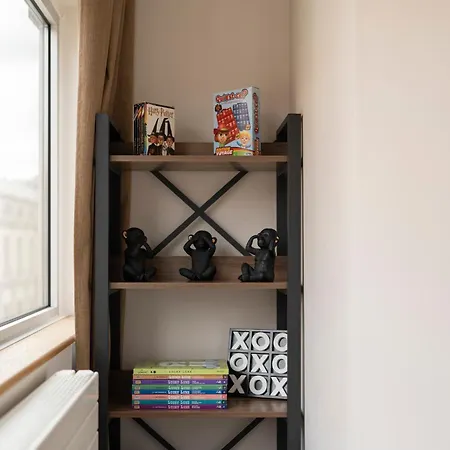 Chaleureux, Lumineux Et Confortable F2 Renove En Plein Coeur De * 南锡