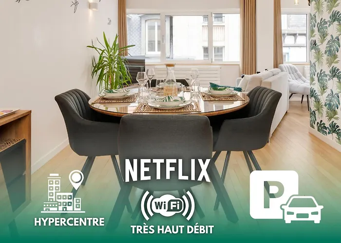 Chaleureux, Lumineux Et Confortable F2 Renove En Plein Coeur De