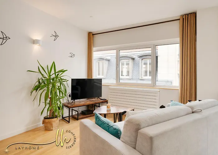 Chaleureux, Lumineux Et Confortable F2 Renove En Plein Coeur De * Nancy