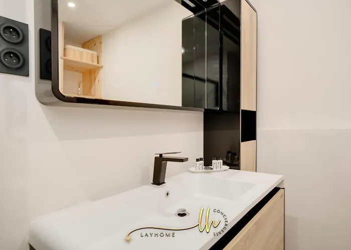 Chaleureux, Lumineux Et Confortable F2 Renove En Plein Coeur De Apartment