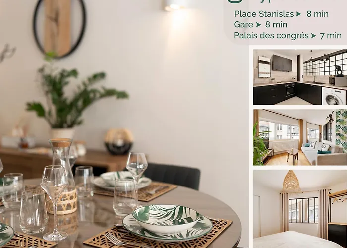 Chaleureux, Lumineux Et Confortable F2 Renove En Plein Coeur De Apartment Nancy