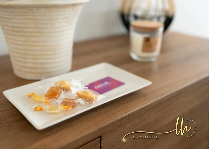 Apartment Chaleureux, Lumineux Et Confortable F2 Renove En Plein Coeur De Nancy