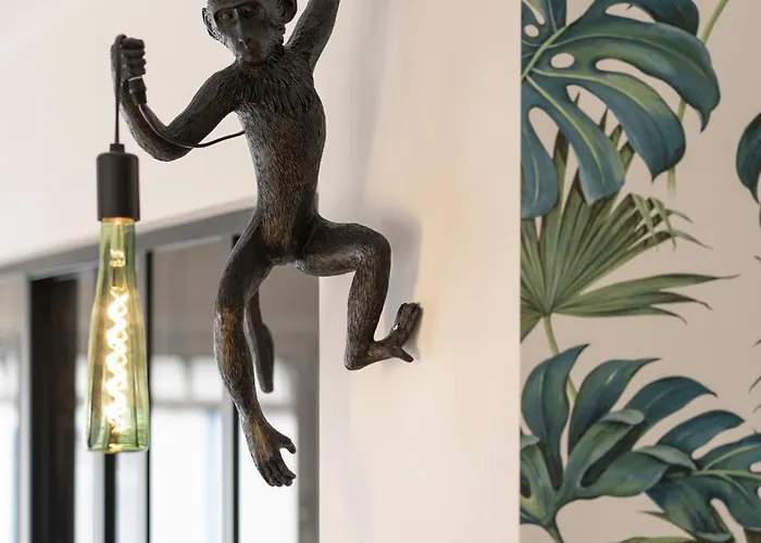 Chaleureux, Lumineux Et Confortable F2 Renove En Plein Coeur De * Nancy