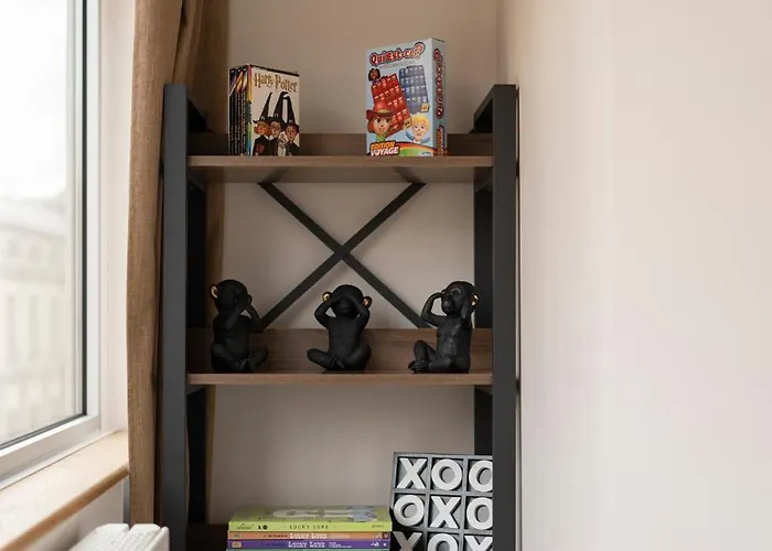 Chaleureux, Lumineux Et Confortable F2 Renove En Plein Coeur De * Nancy